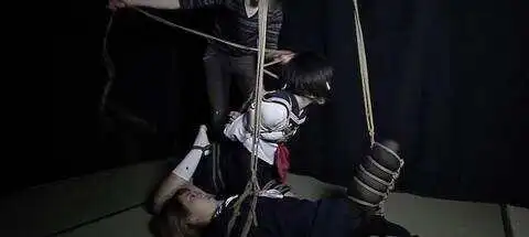 西檬之家DS关系的秘密,你了解多少? 一