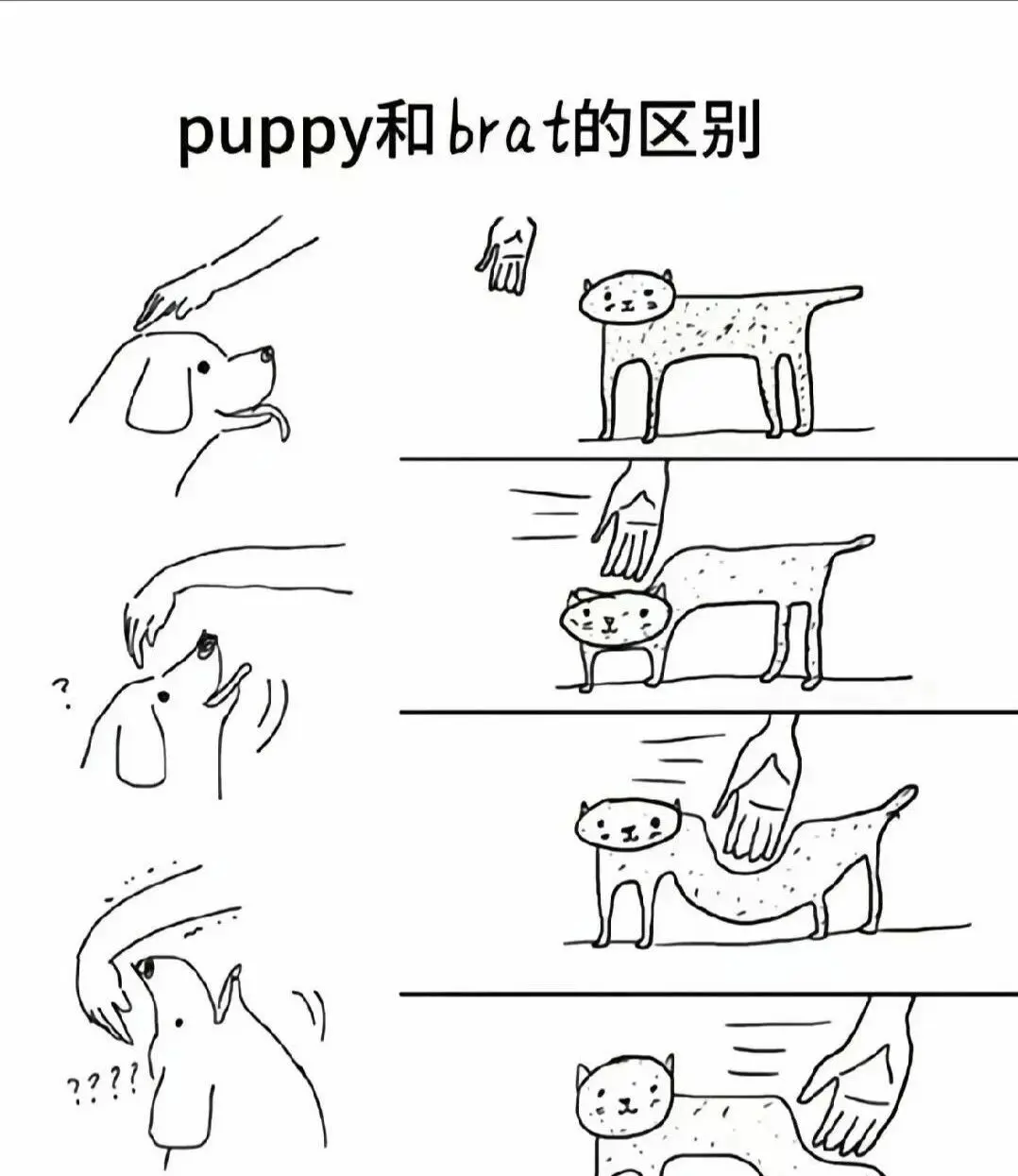 西檬之家管教在字母圈中的真实意义是什么?新手必看指南 一