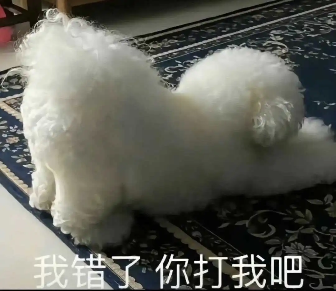 西檬之家sp小圈是什么?你的字母圈属性与游戏规则揭秘 一