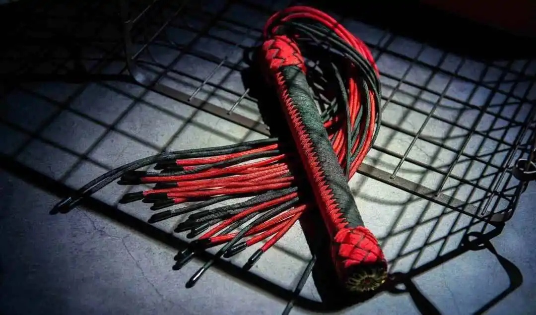 西檬之家字母圈K9是什么?带你解读新兴实践和角色认知 一