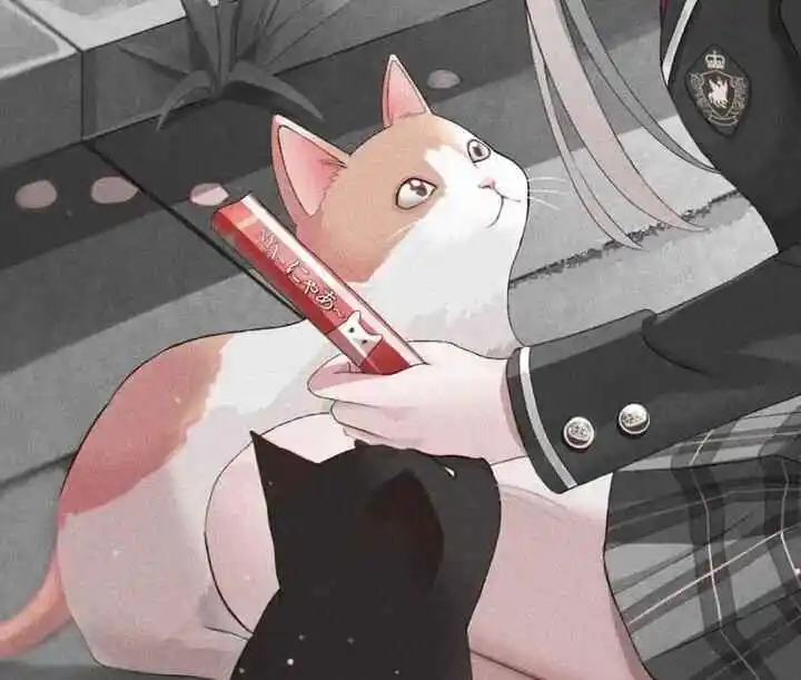 西檬之家CD在字母圈中意味着什么?如何理解这一身份属性? 一