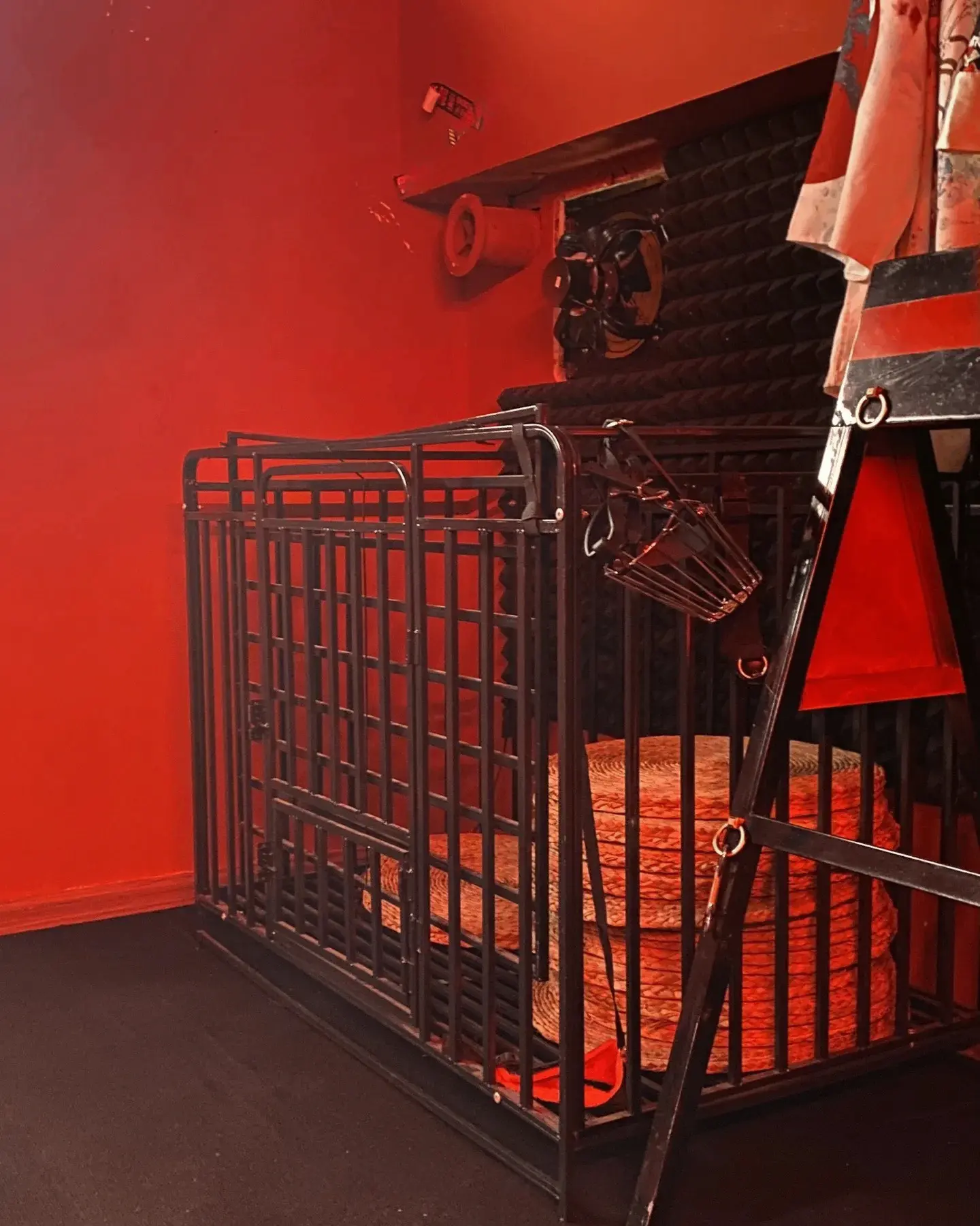 西檬之家深入探讨字母圈的大圈与多元实践解析 一