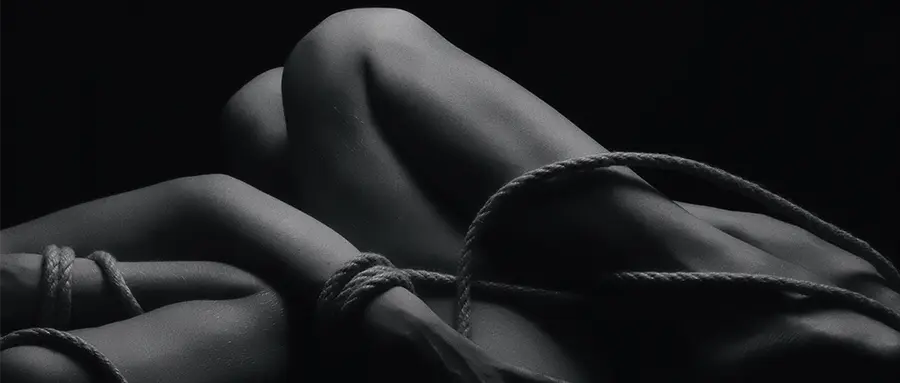 西檬之家k8猫系是什么?它在字母圈中扮演了怎样的角色? 一