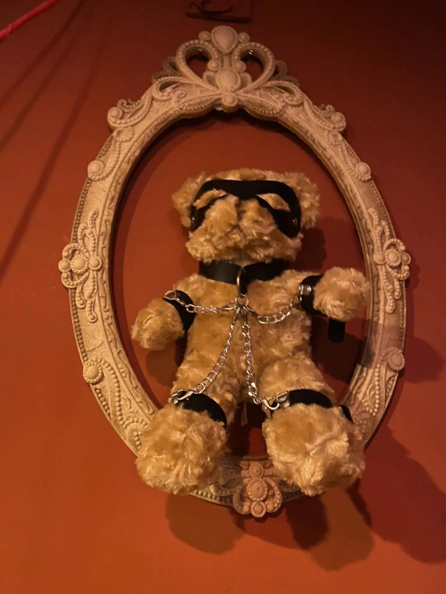 西檬之家斯慕圈基础知识入门指南,适合新手探索与实践 一