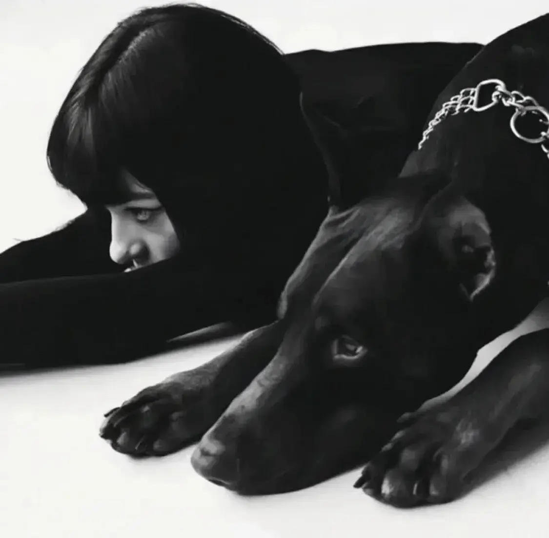 西檬之家恋足癖的真相与2025年新趋势解析 一