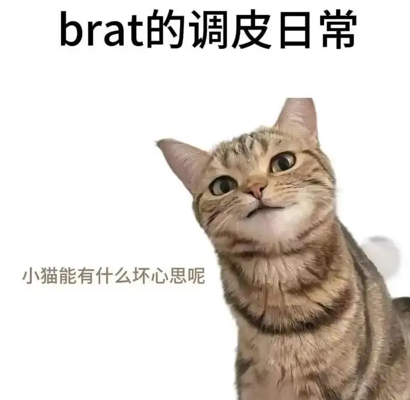 西檬之家brat属性是什么?如何理解你的字母圈角色? 一