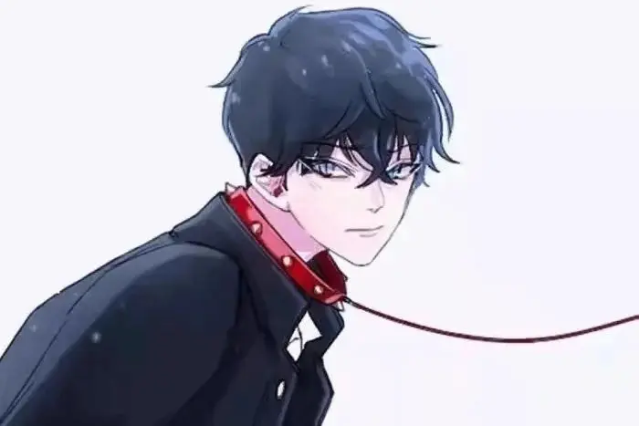 西檬之家m倾向是什么?你了解自己的字母圈属性吗? 一