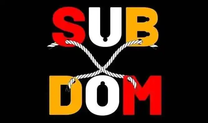 西檬之家m倾向解析:了解你的字母圈身份与心理动态 一