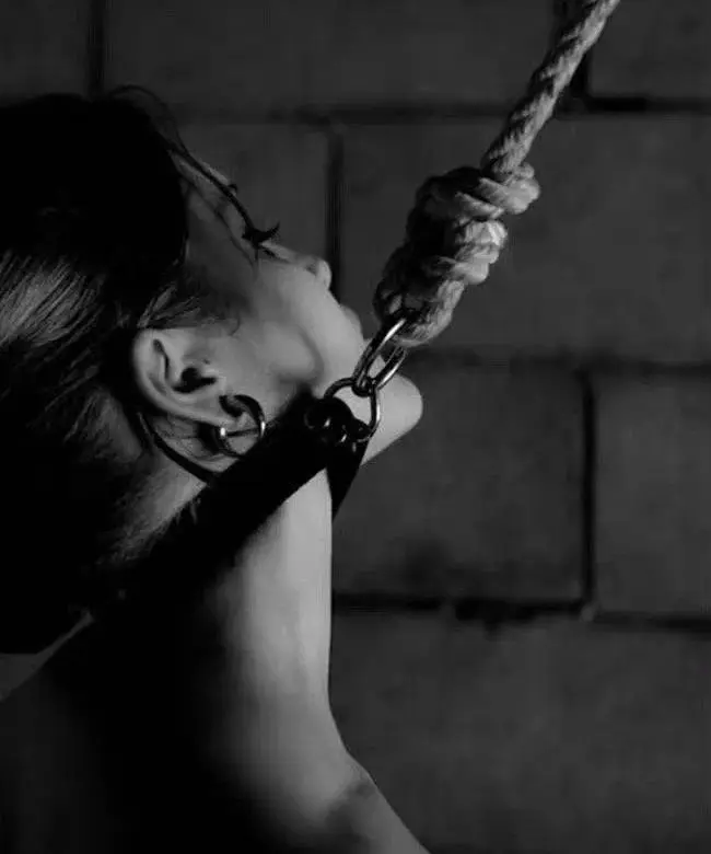 西檬之家字母圈的小圈是什么?新手入圈必备指南 一