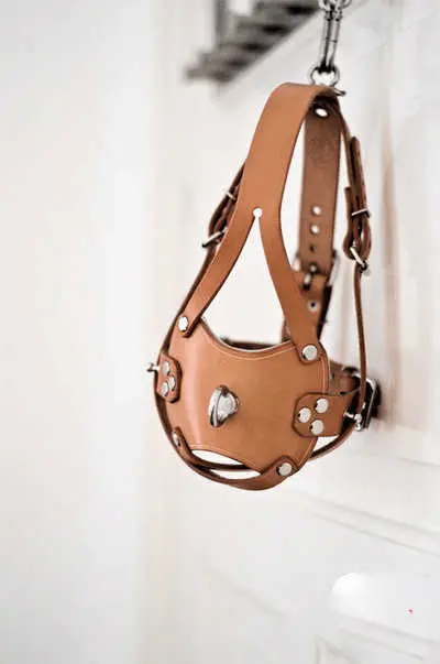 西檬之家sub是什么?字母圈新人必读指南 一