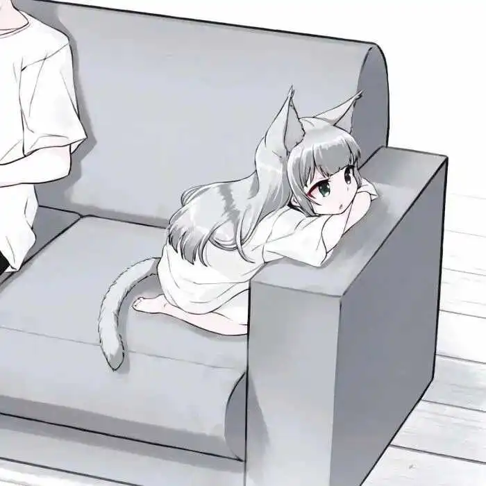 西檬之家k8是什么?深入解析这一新兴概念的背后意义与影响 一