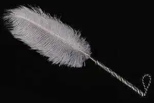 西檬之家恋物癖到底是什么?揭开你内心的秘密与魅力 一