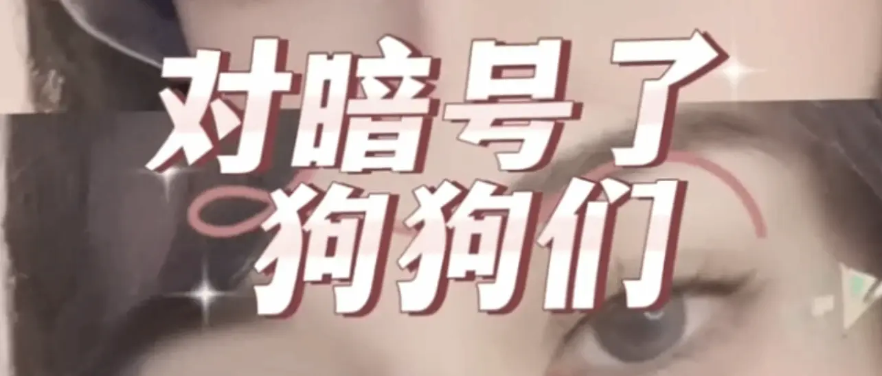 西檬之家字母圈的女王是什么意思 一