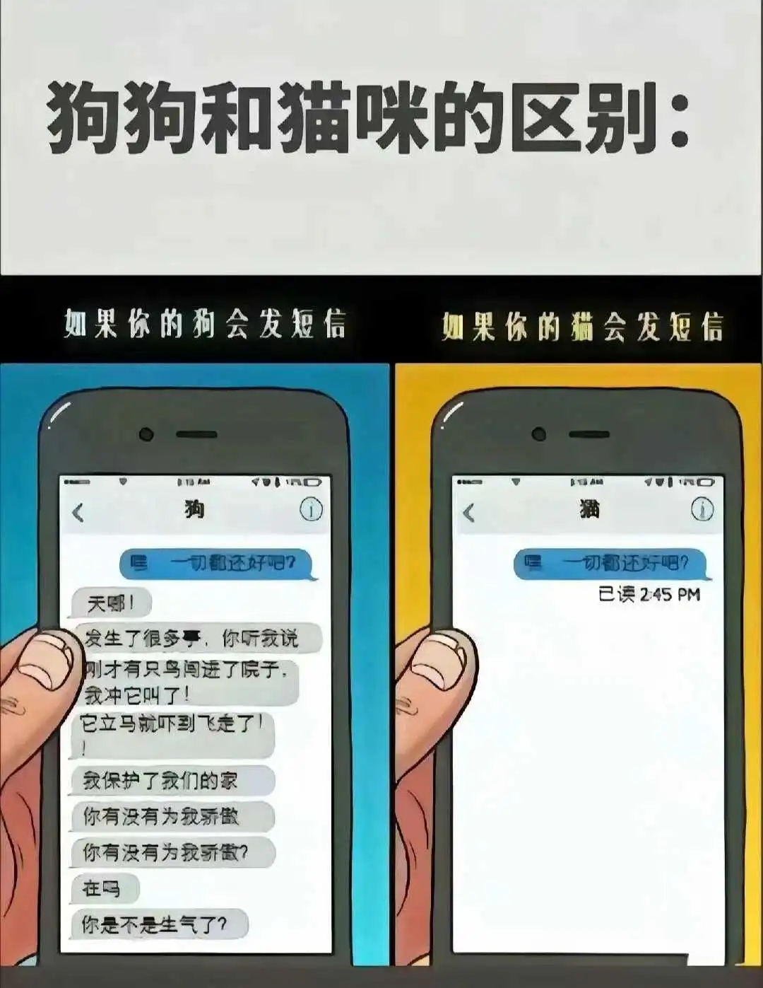 西檬之家k8猫系是什么意思? 一