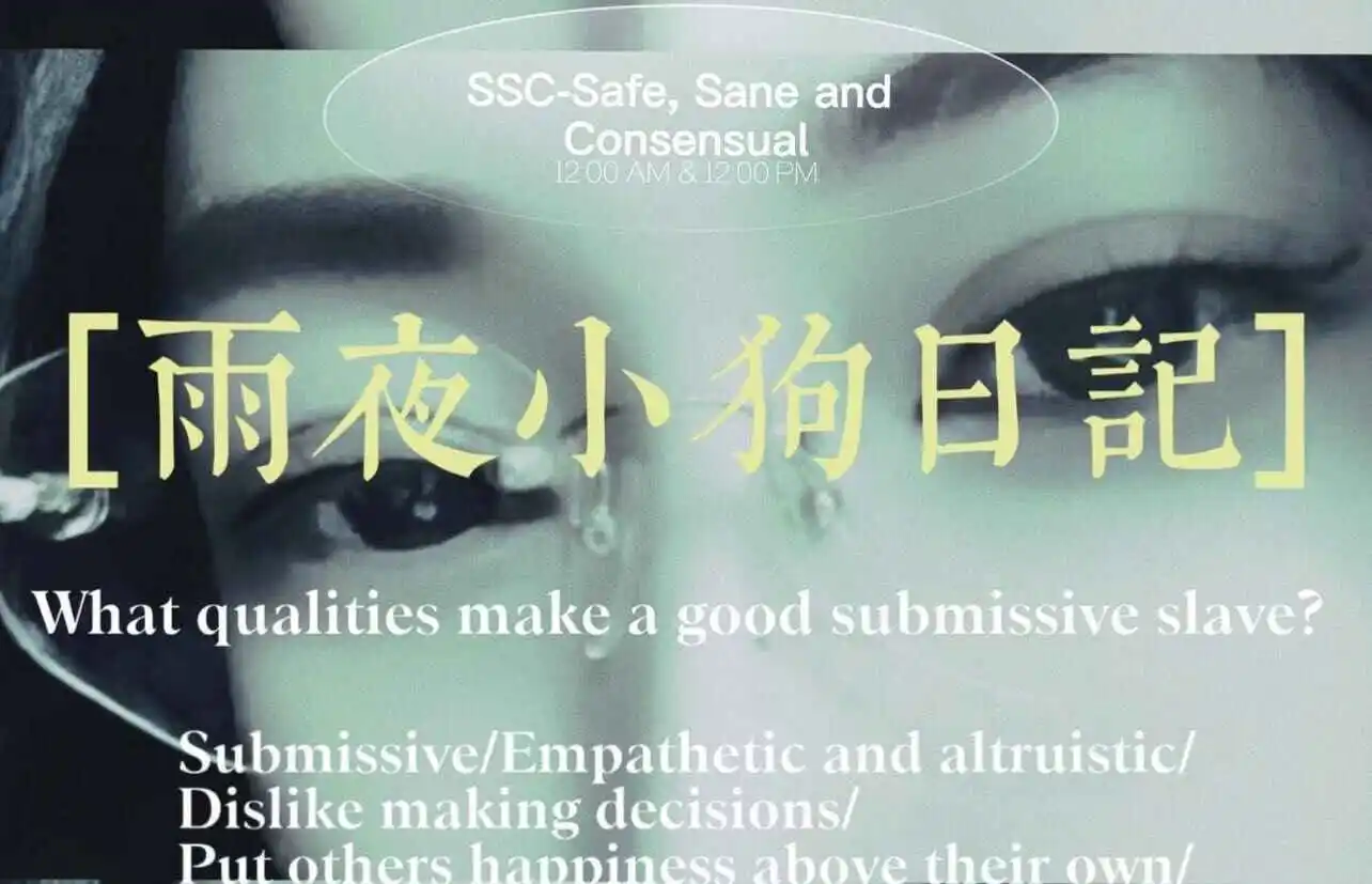 西檬之家k8猫系属性详解 一