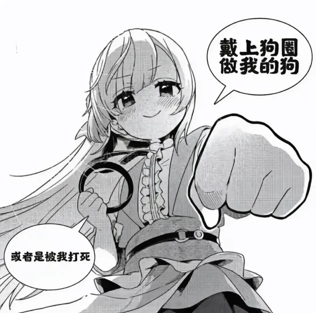 西檬之家k8猫系属性全解析 一