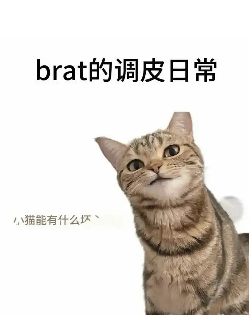 西檬之家BDSM中的dom/sub关系 一
