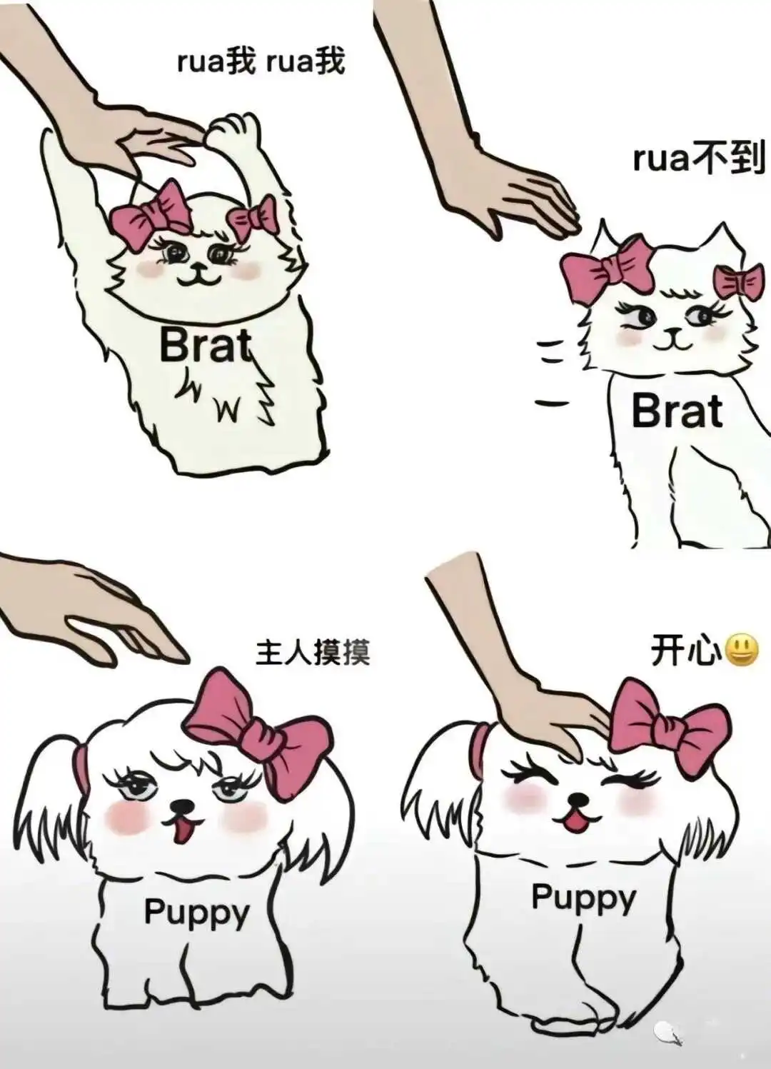 西檬之家BDSM新手入门指南 一