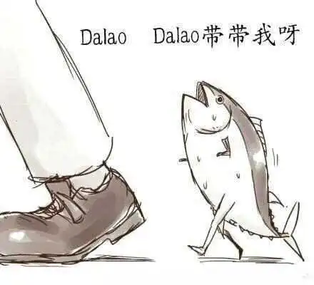 西檬之家字母圈Switch是什么? 一