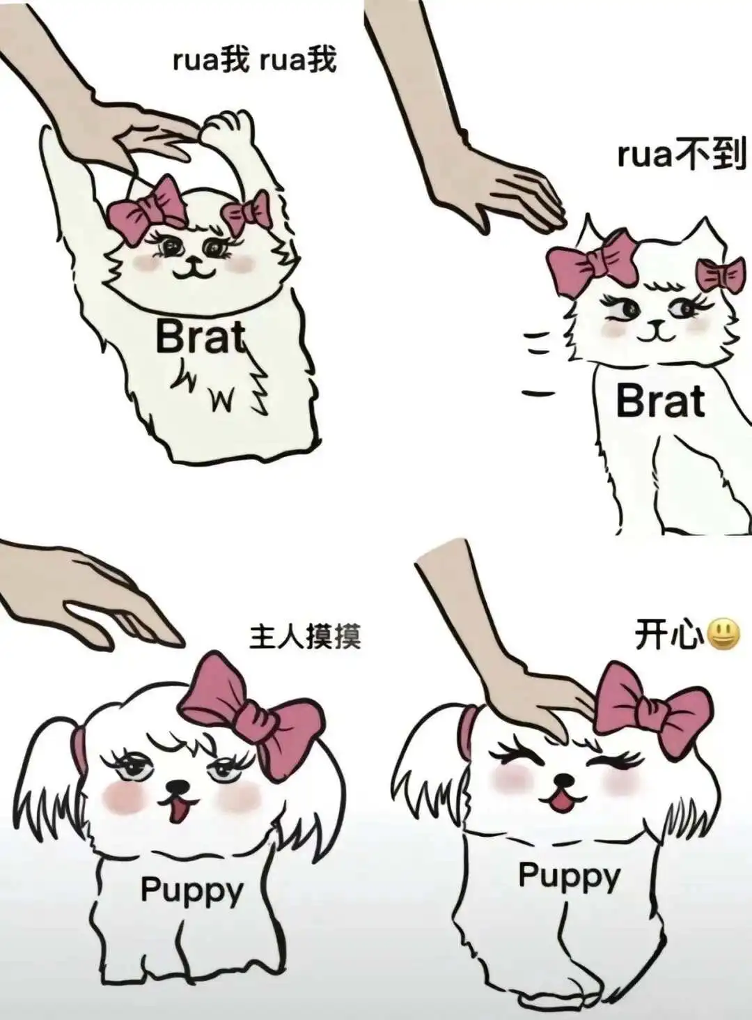 西檬之家字母圈switch是什么意思? 一
