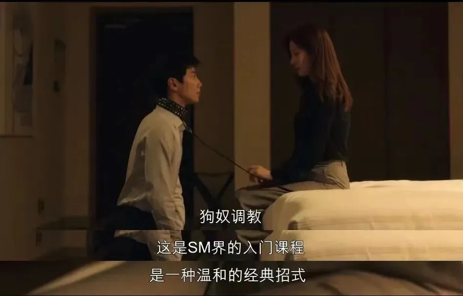 西檬之家SM入门:安全理智知情同意全解 一